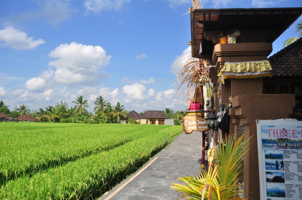 Three Dewi'S Guest House Ubud  Exterior photo